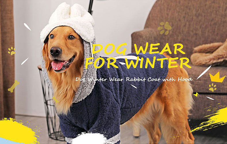 DOG WEAR FOR WINTER